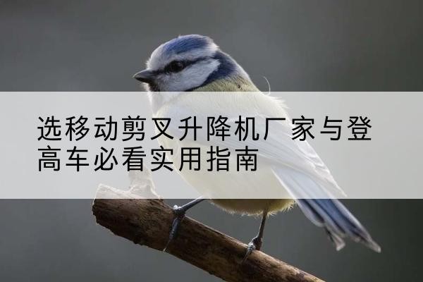 明光电动升降机厂家-选移动剪叉升降机厂家与登高车必看实用指南