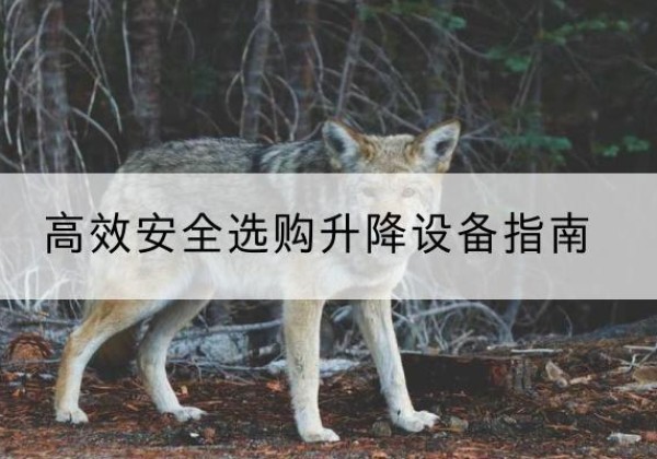 明光升降货梯厂家推荐-*安全选购升降设备指南